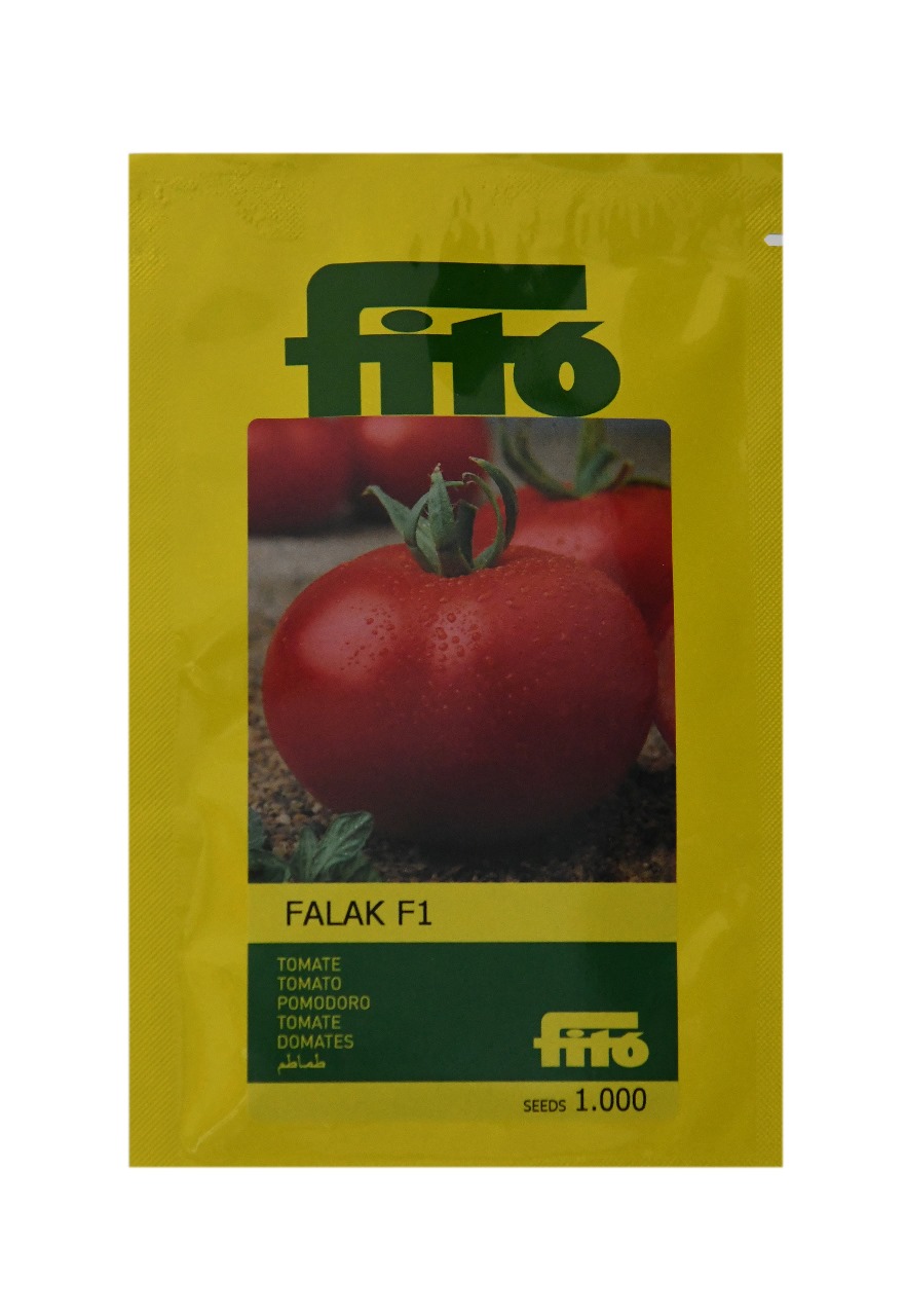 TOMATO