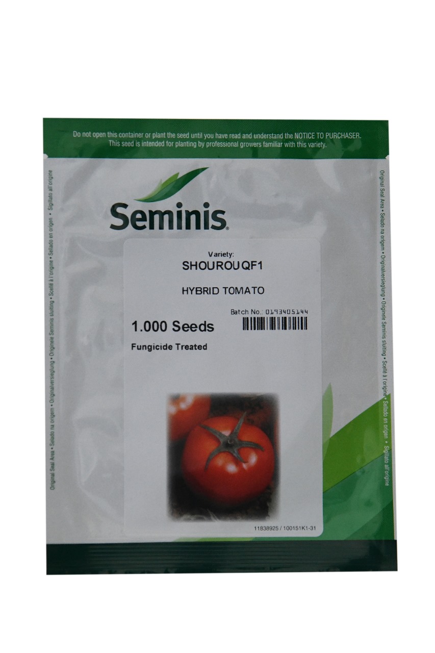TOMATO