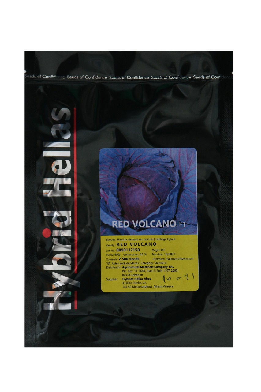 RED VOLCANO