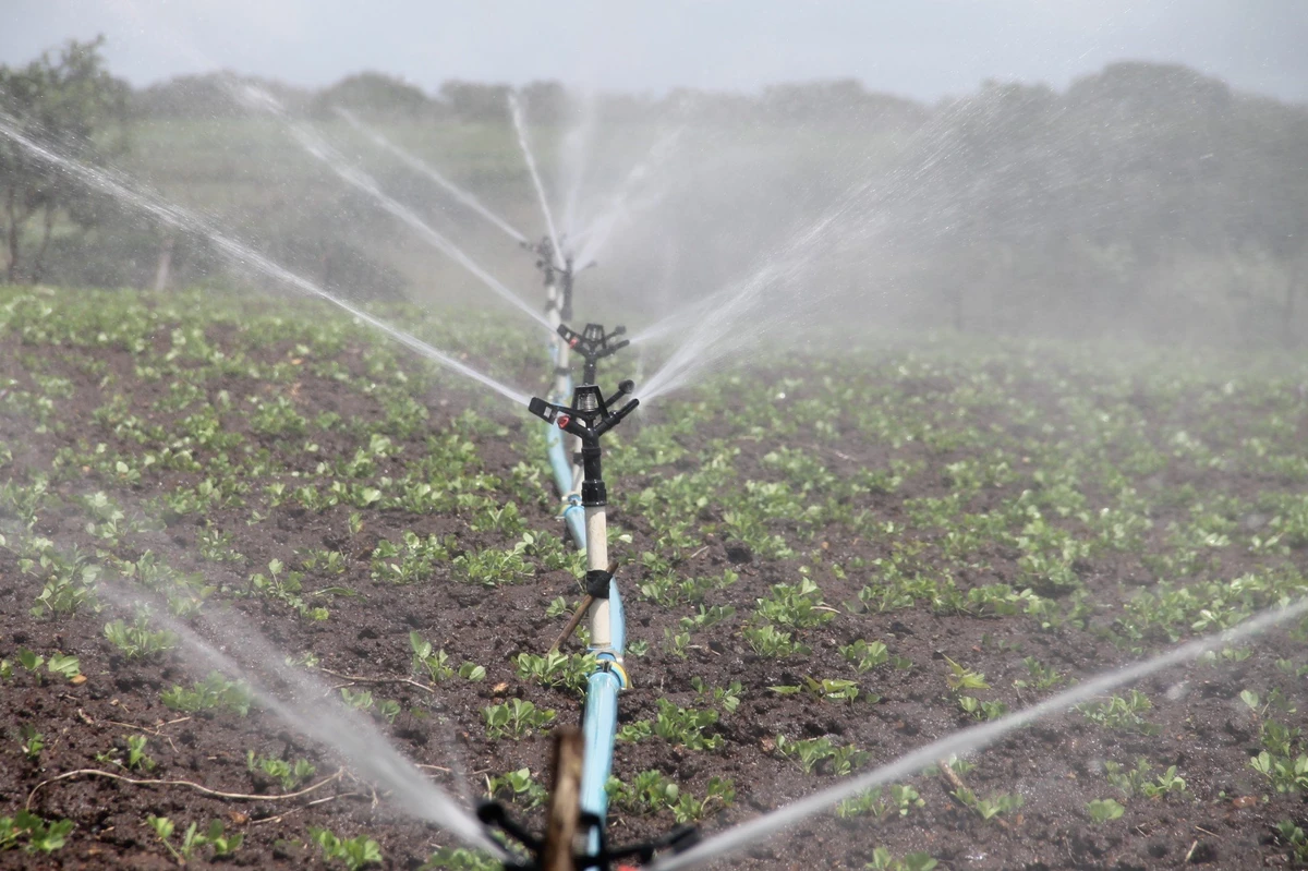Irrigation Tools